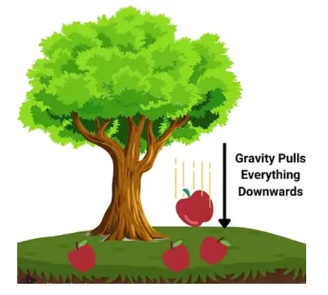 Image result for Gravity Physics