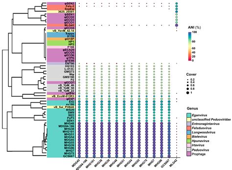 Phylogenetic Relationships and Evolution of the Genus Eganvirus (186-Type) Yersinia pestis ...