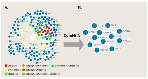 A Comprehensive In Silico Method to Study the QSTR of the Aconitine ...