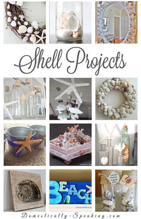 Crafts Using Sea Shells 的图像结果