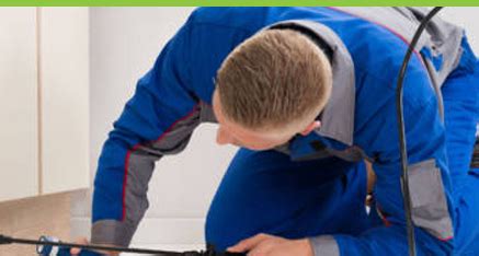 Pest Relief India Pvt Ltd - Fumigation and Pest Management Services.