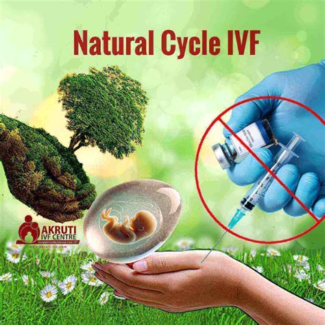 Natural Cycle IVF| No hormone| Injection free IVF Treatment