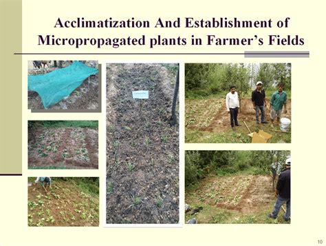 Technology Extention - JUIT