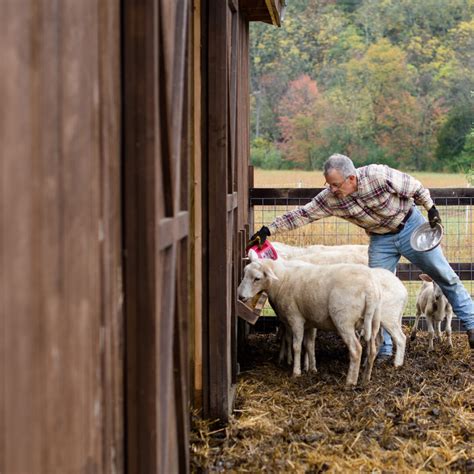 Image result for CLOCKWORK