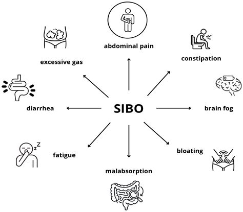 Possible Crosstalk Between Small Intestinal Bacterial Overgrowth (SIBO ...