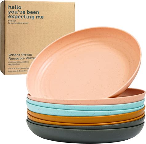 Amazon.com | Nook Theory Deep Dinner Plates Set of 8 - Wheat Straw ...