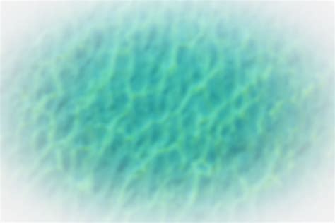 Book Online | Heaven On Earth Wellness Spa | Duluth, MN