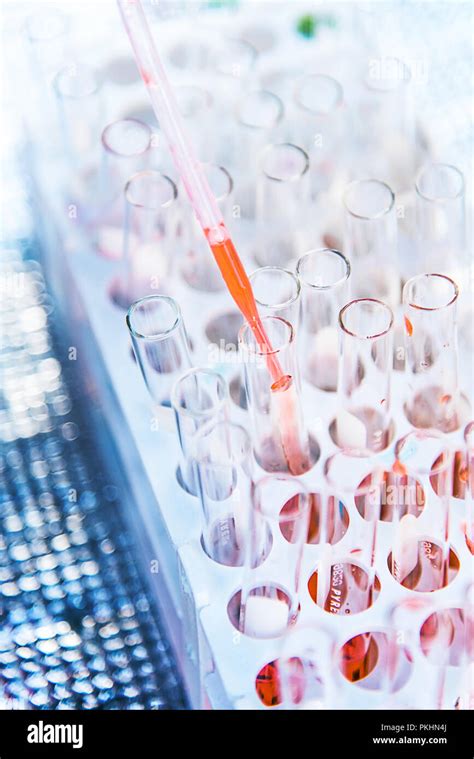 Science Items 的图像结果