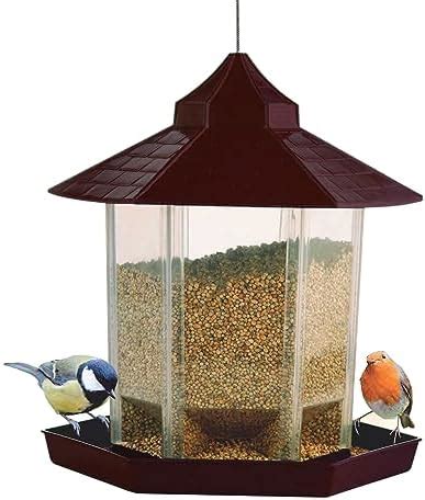 Amazon Brand - UMI Perfect Plastic Hut Shape with Stainless Steal 1 ...