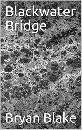 Blackwater Bridge eBook : Blake, Bryan: Amazon.in: Books