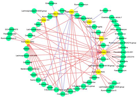 Inosine Pretreatment Attenuates LPS-Induced Lung Injury through ...