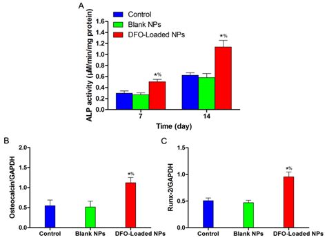 Angiogenic and Osteogenic Coupling Effects of Deferoxamine-Loaded Poly ...