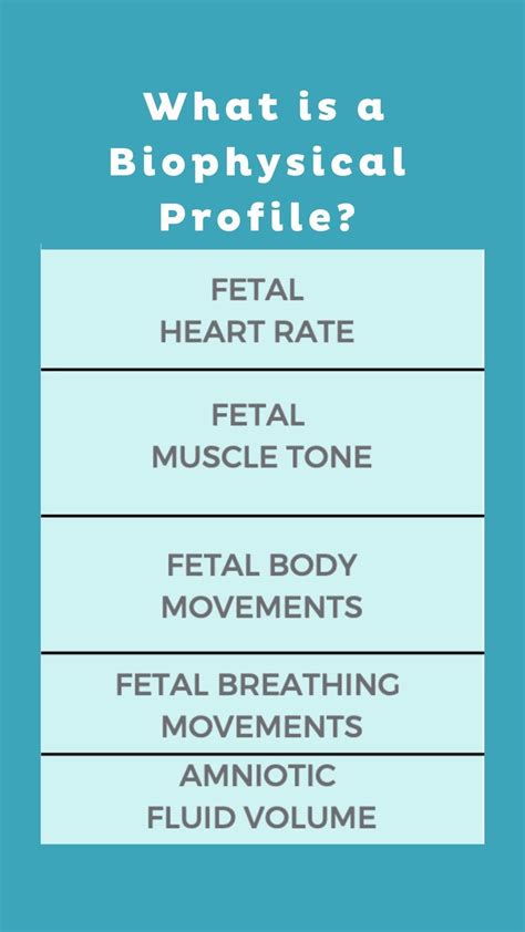 What is a Biophysical Profile test in pregnancy? — 4th Trimester ...