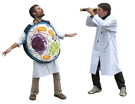 Science Week Show: Journey to the Heart of the Cell, Blanchardstown ...