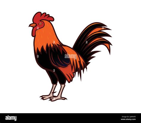 Detailed Rooster and Cock with Standing Gesture Illustration Vector ...