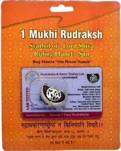 BHAKTI SHRINGAR 1 Mukhi Rudraksha Half Moon Shape Brown Certificate Lab ...