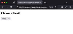 HTML Options Tag 的图像结果