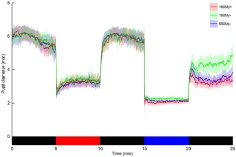 Individual Differences in the Post-Illumination Pupil Response to Blue ...