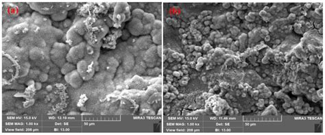 Role of Coating Processes on the Corrosion Kinetics and Mechanism of ...