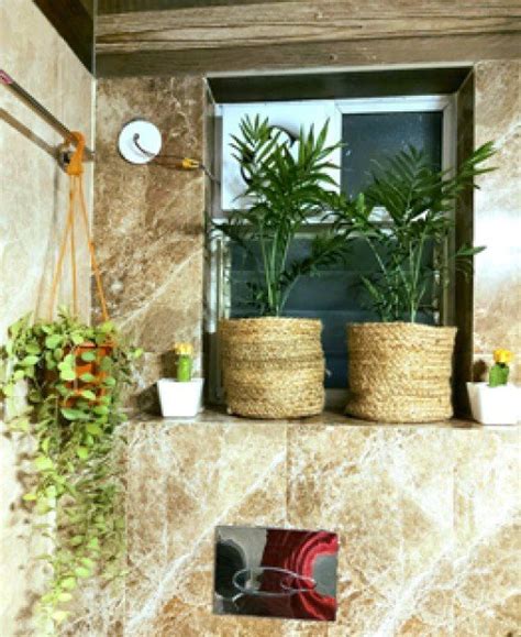 Planterior - Interior with Plants