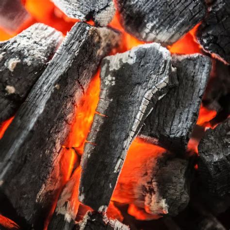 Buy Ozark Oak Premium Natural Arkansas Hardwood Lump Grill and Smoker ...