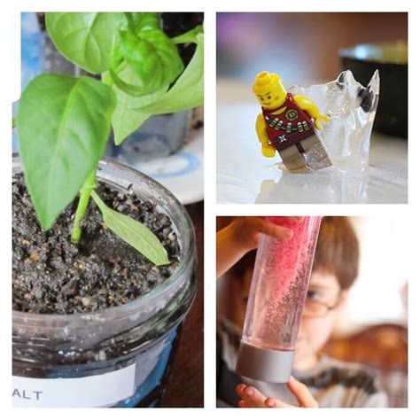 Best Science Experiments 的图像结果