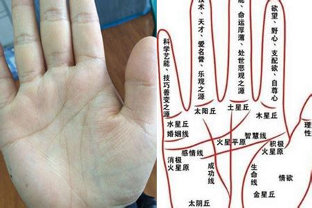 看手相和面相哪个准？八字准确吗？-八字-知合网