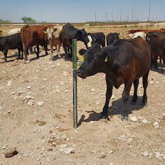 Image result for Cathodic Protection Test Post