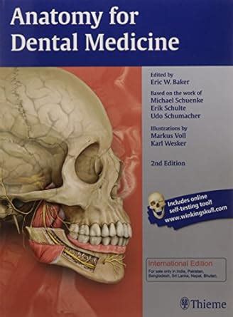 Buy ANATOMY FOR DENTAL MEDICINE 2ED (PB 2015) Book Online at Low Prices ...