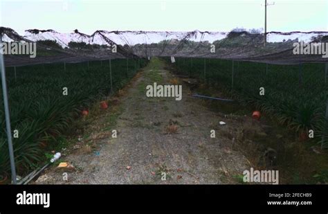 Agriculture China 的图像结果