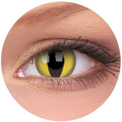 Yellow Cat / Cat Eye Contact Lenses – LENS FX