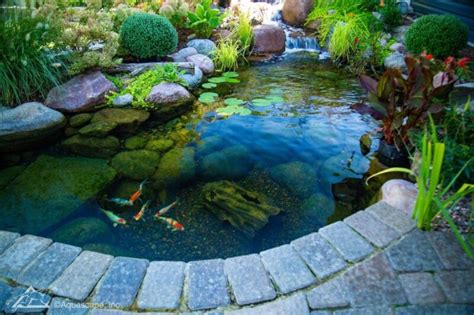 Pond Design Ideas 的图像结果