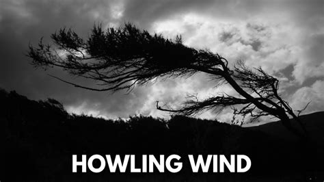 Howling Wind Sounds ASMR 的图像结果