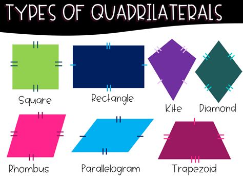 Different Types Of Shapes Quadrilaterals at Ava Richard blog