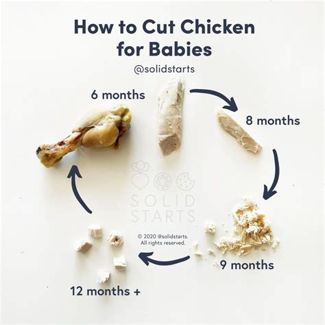 Chicken for babies first foods for baby – Artofit