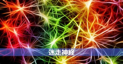 Image result for Computer API Background