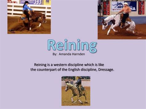 Image result for Reining Tutorials
