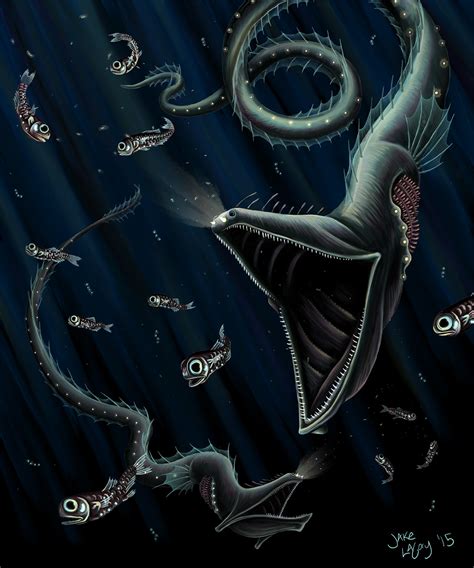 Aphotic Zone Animals