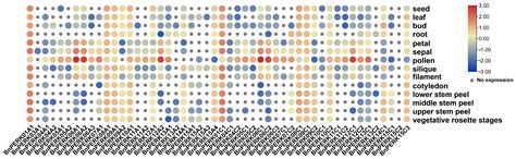 Genome-Wide Analysis of the PERK Gene Family in Brassica napus L. and ...