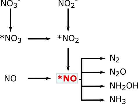 Image result for Balance No O2 No2