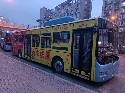 重庆公交181路线路介绍 - 哔哩哔哩