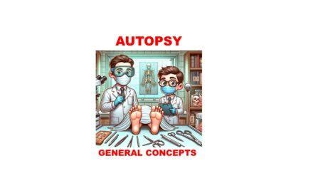 Image result for Autopsy Tutorial