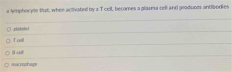 Solved: a lymphocyte that, when activated by a T cell, becomes a plasma ...