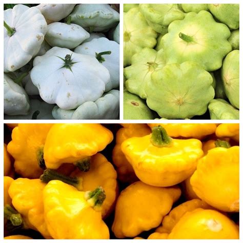 Pattypan squash - set of seeds of 3 vegetable plant varieties – Garden ...