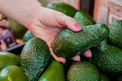 Avocado Price in India: Trends, Factors, and Future Outlook