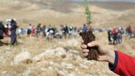 Lessons learned from LiveLebanon – the first UNDP crowdfunding platform ...