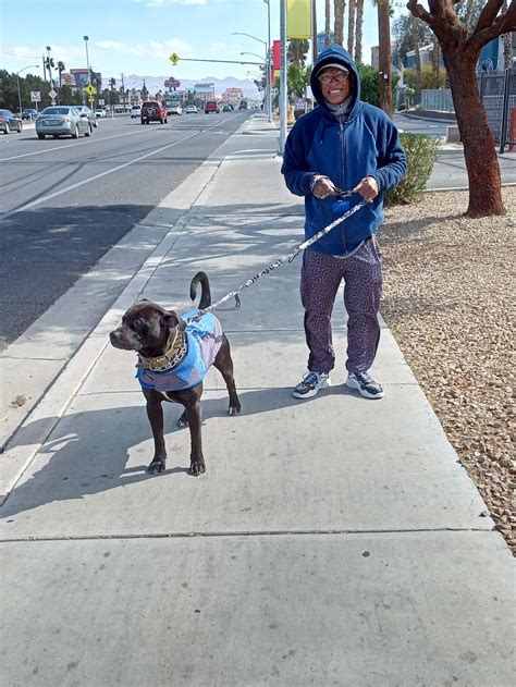 Mountain Vista Animal Hospital: Wagner Nicole DVM - 4675 E Flamingo Rd, Las Vegas, NV 89121 ...