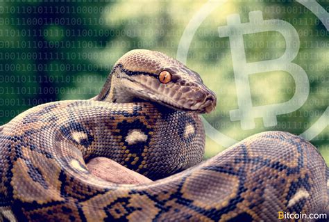 Python Bitcoin 的图像结果