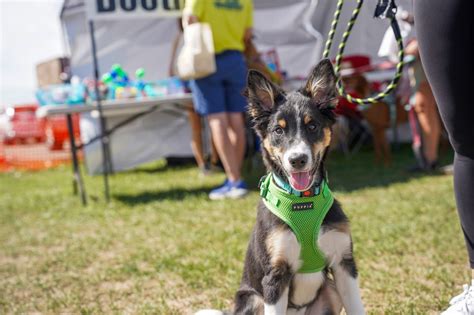 The Ultimate Guide to Colorado Rec Centers - Wundervue