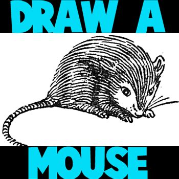 Image result for Mouse Tutorial Drawing Looking Over Ledge